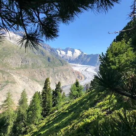 Alpenperle